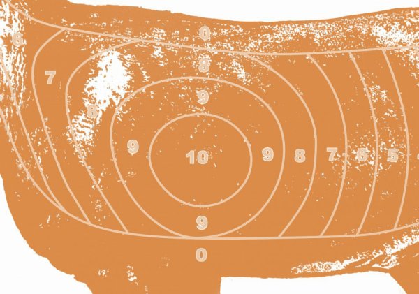 Środek tarczy rogacza stary wzór format 290 x 420 mm